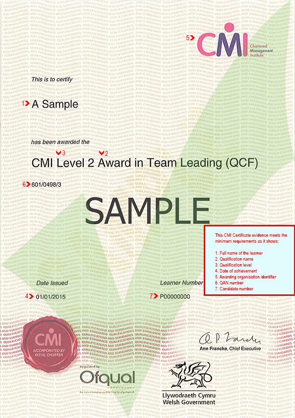 cmi-certificate-ace-website